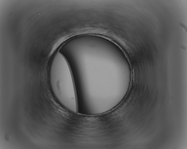 X0000093161501200709261025