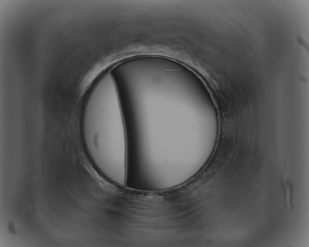X0000093161503200709261026