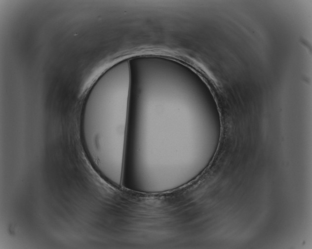 X0000093161504200709261026