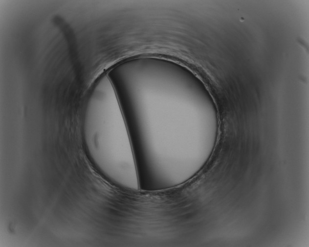 X0000093161505200709261026