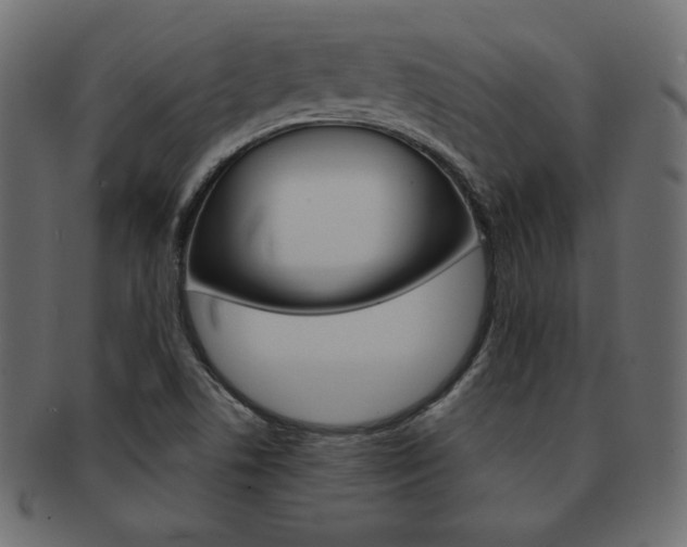 X0000093161506200709261026