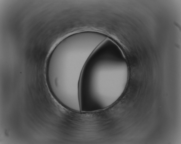 X0000093161508200709261026