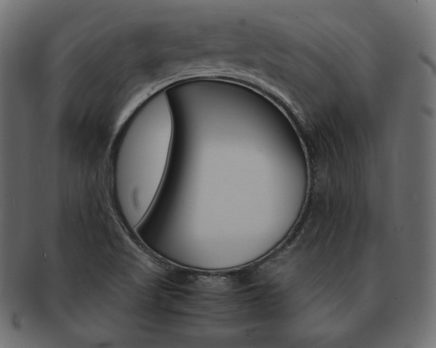 X0000093161509200709261026