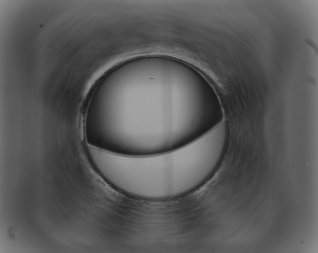 X0000093161510200709261026
