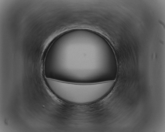 X0000093161511200709261026