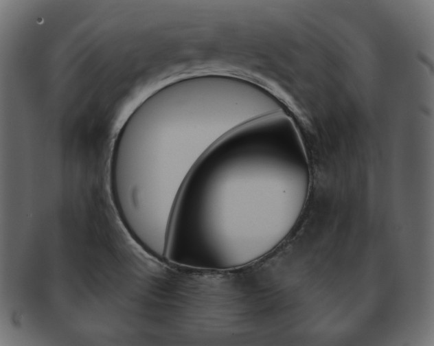 X0000093161512200709261026