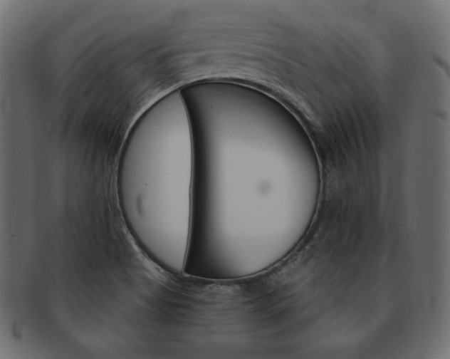 X0000093161513200709261026