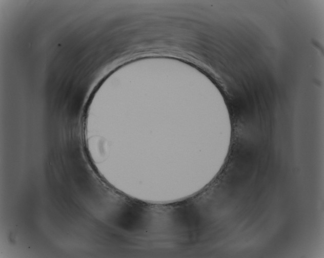 X0000093161514200709261026