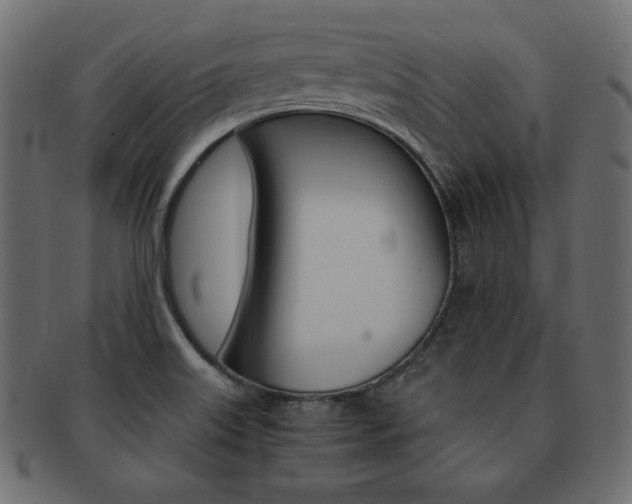X0000093161515200709261026