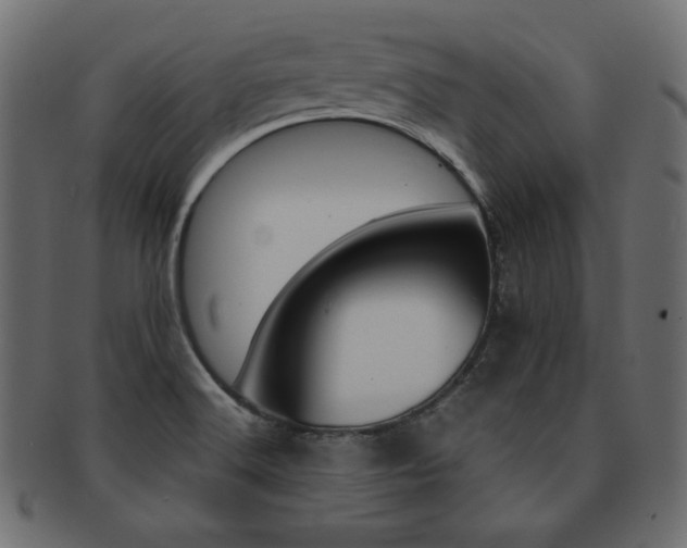 X0000093161516200709261026