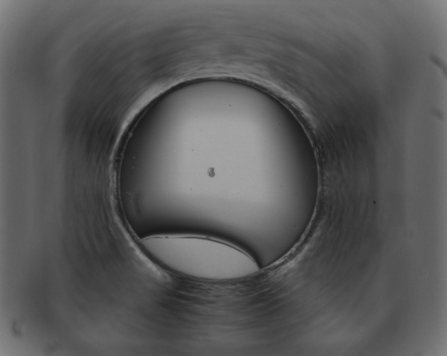 X0000093161517200709261026