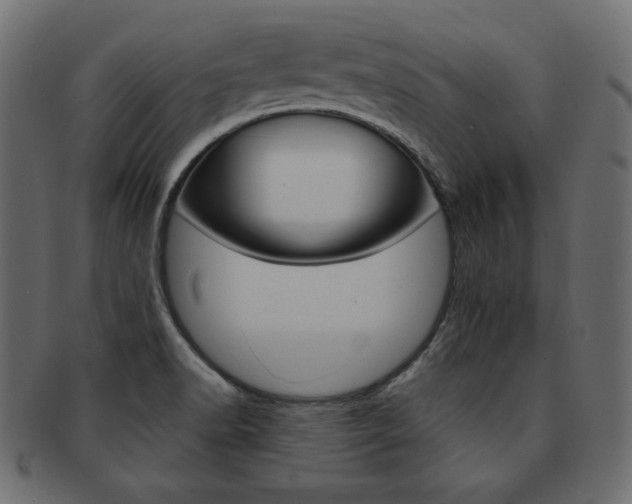 X0000093161518200709261026