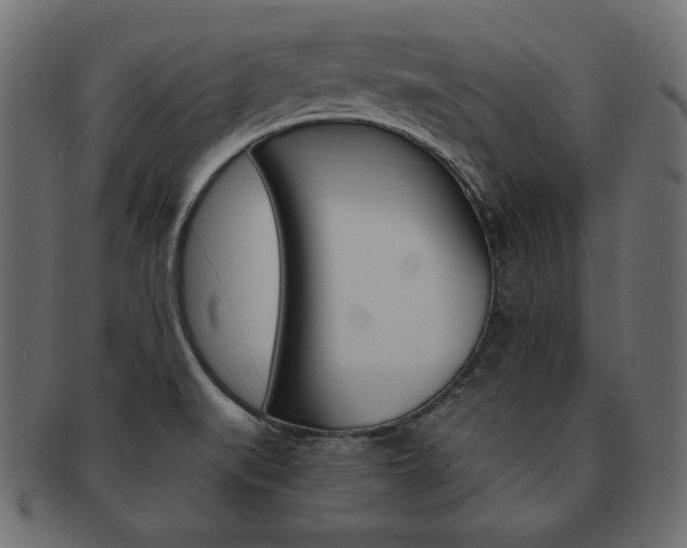 X0000093161519200709261026