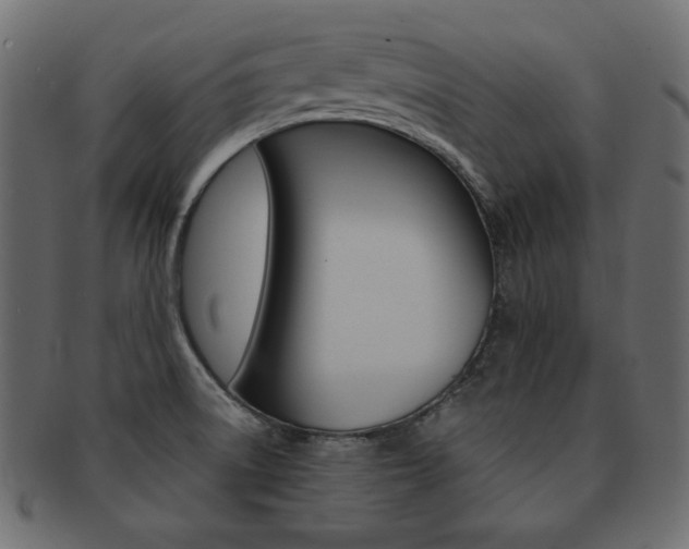 X0000093161522200709261026