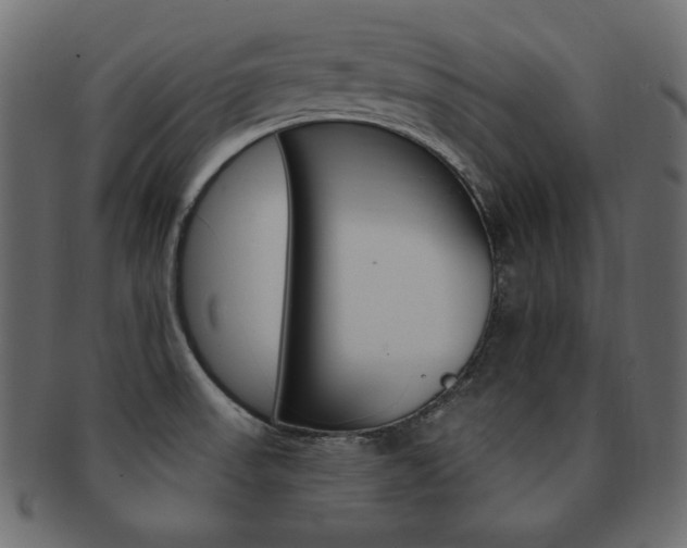 X0000093161523200709261026