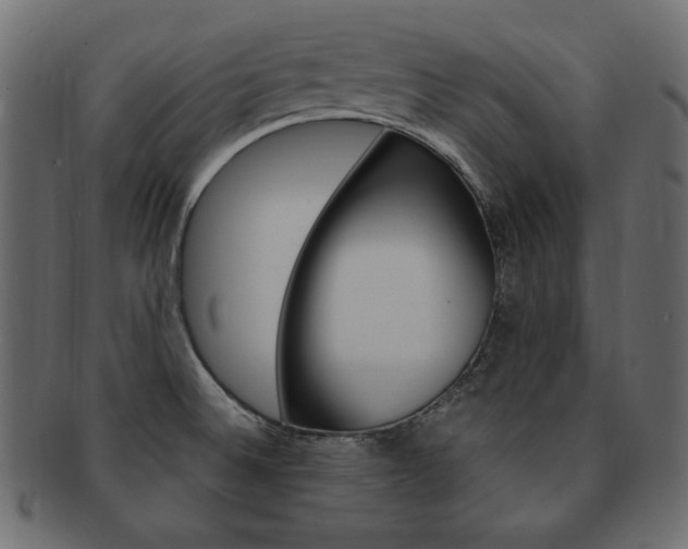 X0000093161524200709261026