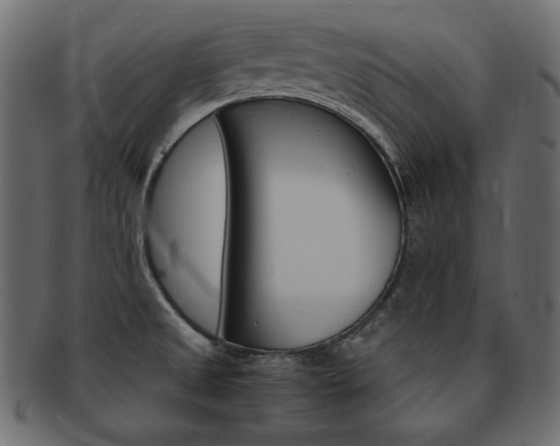 X0000093161525200709261026