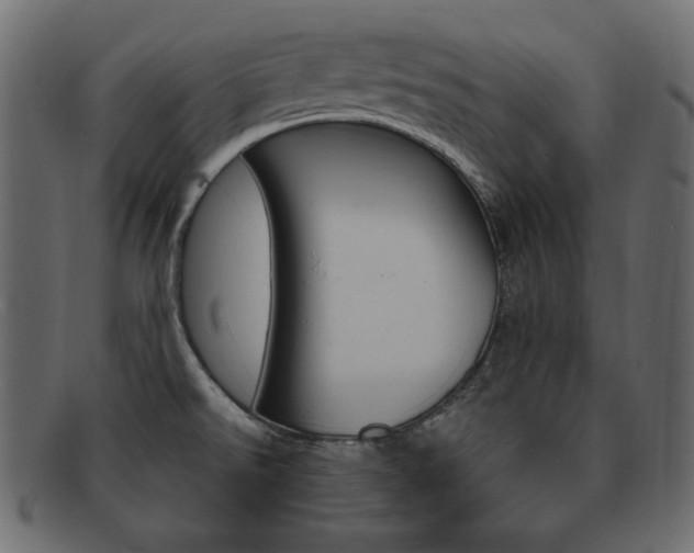 X0000093161526200709261026