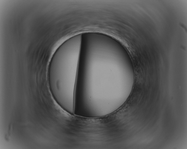 X0000093161527200709261026