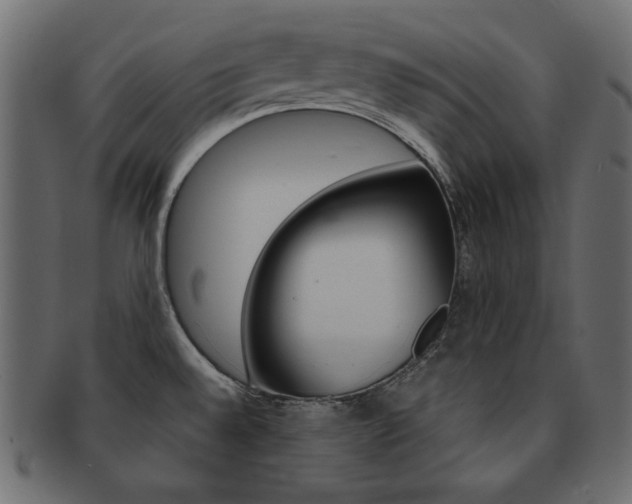 X0000093161528200709261026