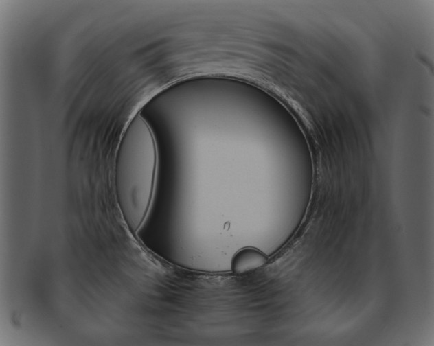 X0000093161529200709261026