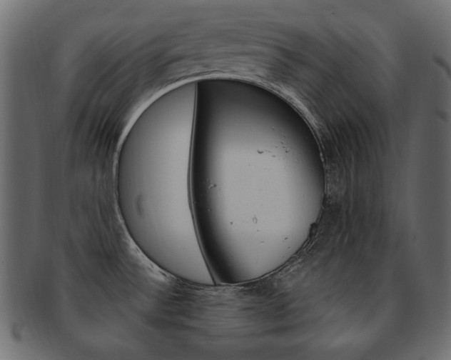 X0000093161532200709261026
