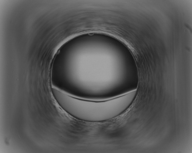 X0000093161534200709261026
