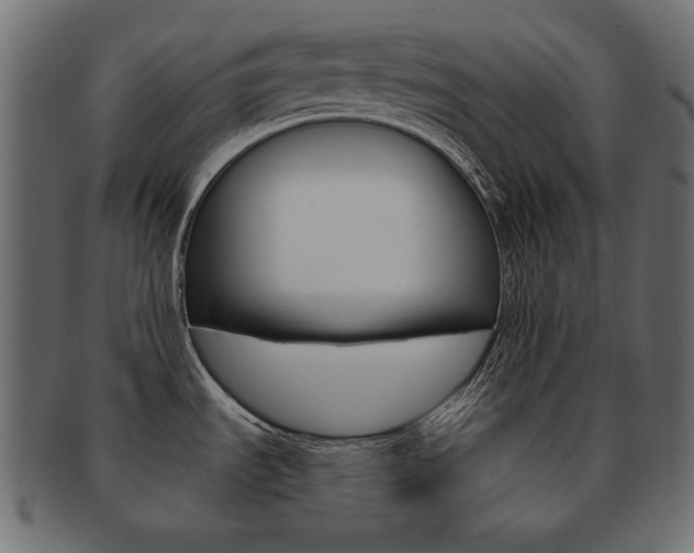 X0000093161535200709261026