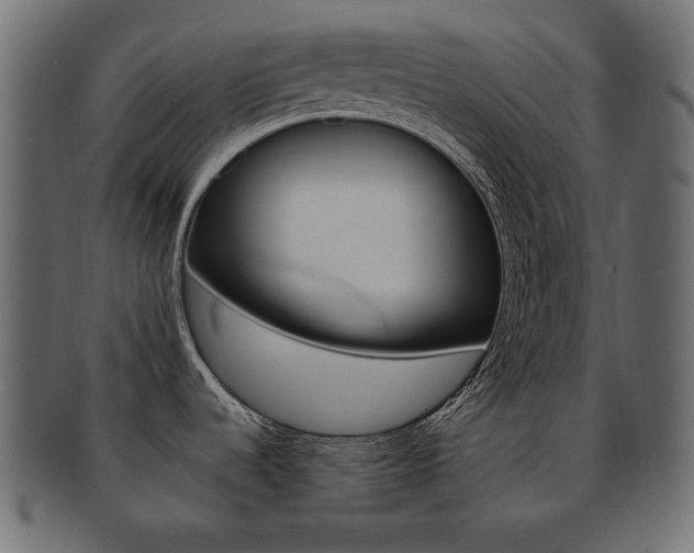 X0000093161536200709261026