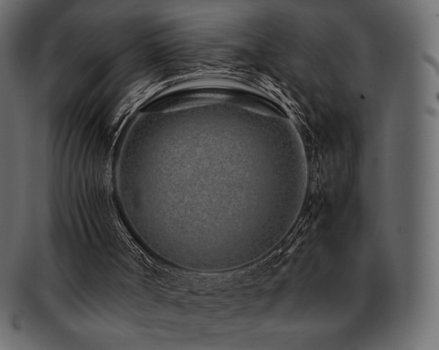 X0000093160002200709261518