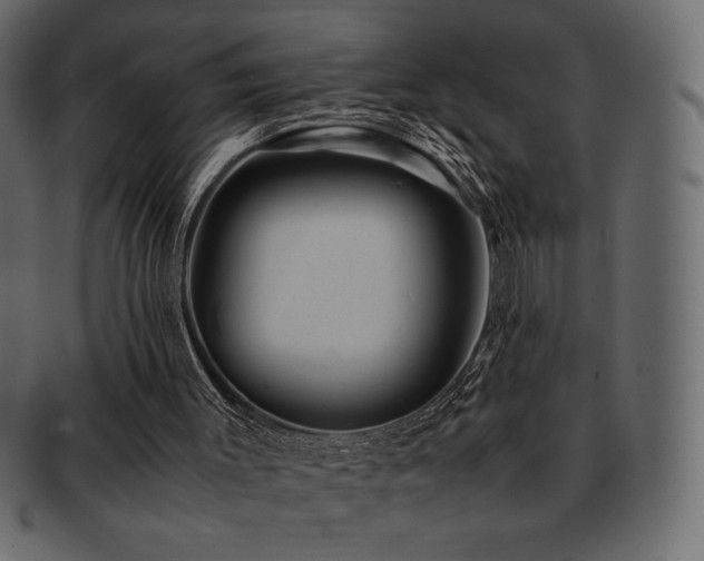X0000093160003200709261518