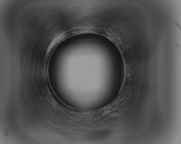 X0000093160004200709261518