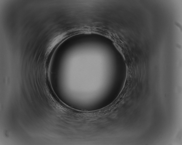 X0000093160005200709261518