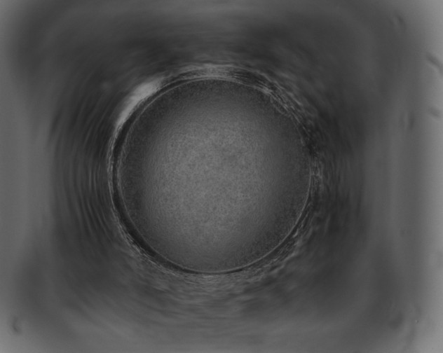 X0000093160006200709261518