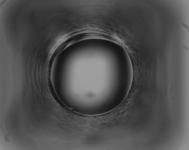 X0000093160007200709261518