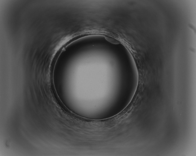 X0000093160008200709261518