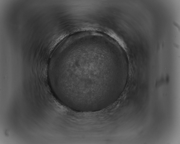 X0000093160009200709261518