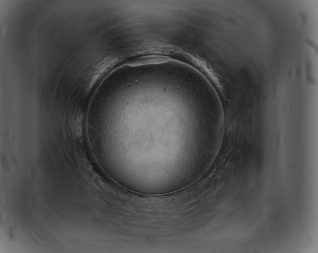 X0000093160010200709261518