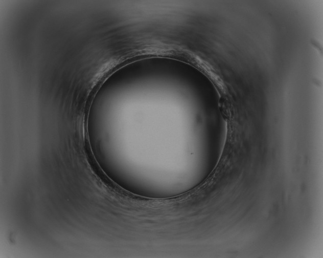 X0000093160011200709261518