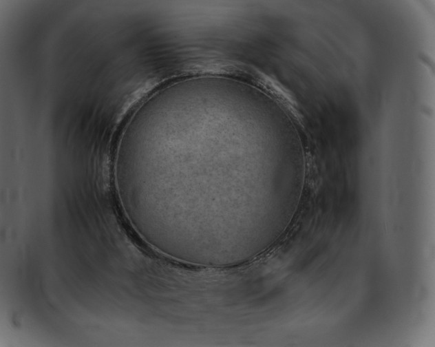 X0000093160012200709261518