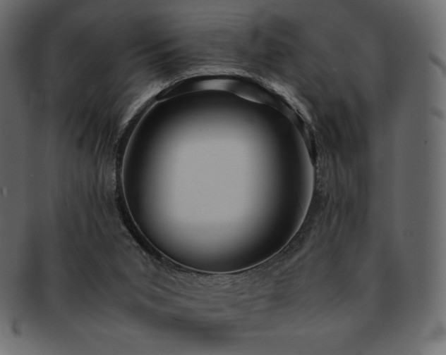 X0000093160015200709261518