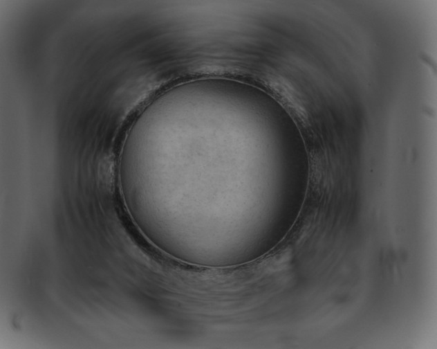 X0000093160016200709261518