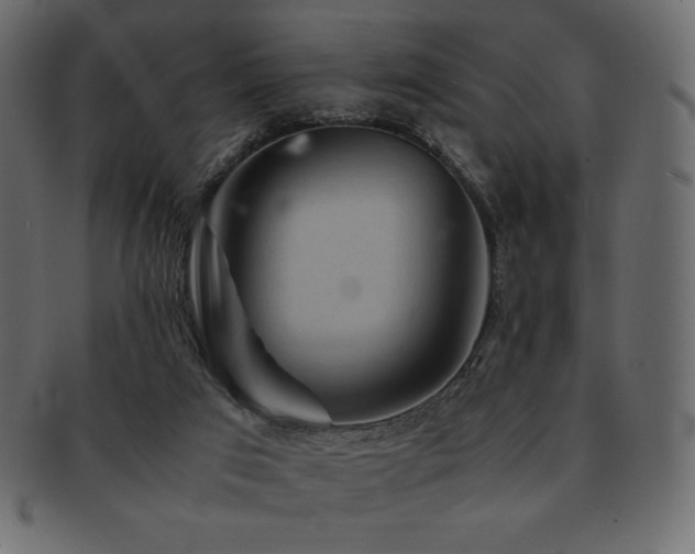 X0000093160017200709261518