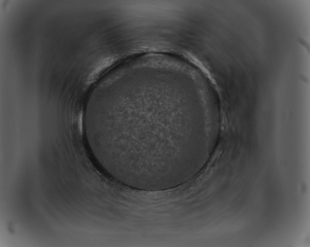 X0000093160019200709261518