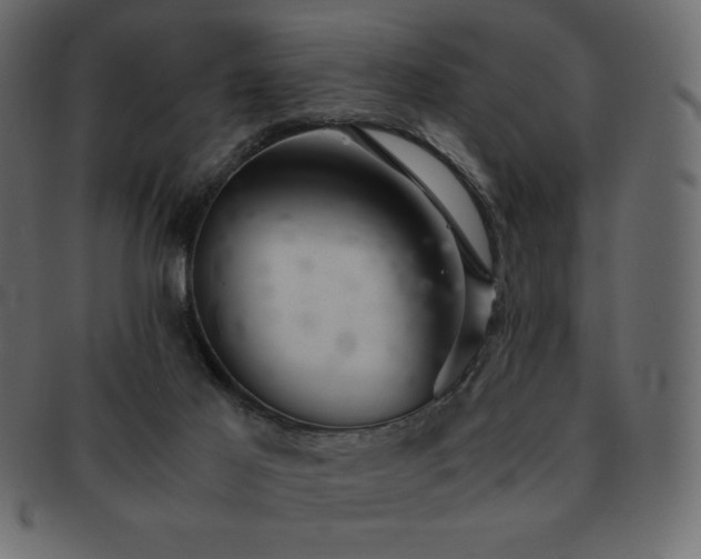 X0000093160021200709261518