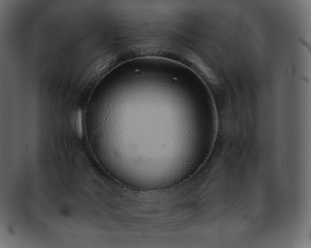 X0000093160022200709261518
