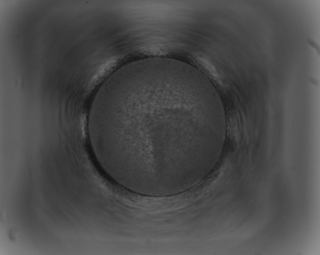 X0000093160023200709261518
