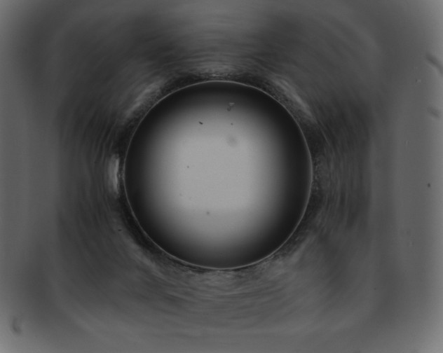 X0000093160024200709261518