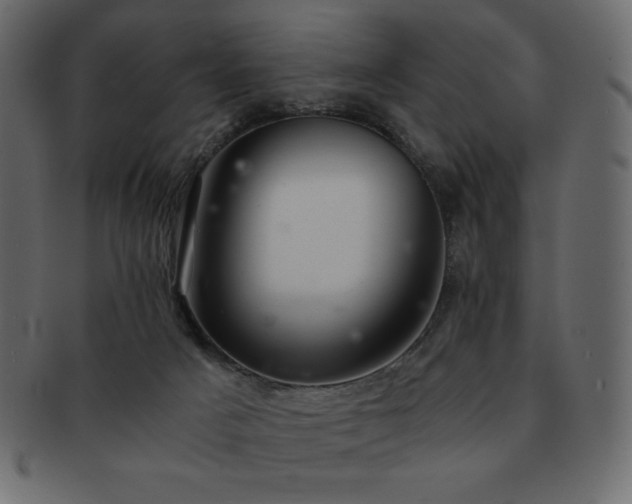 X0000093160025200709261518