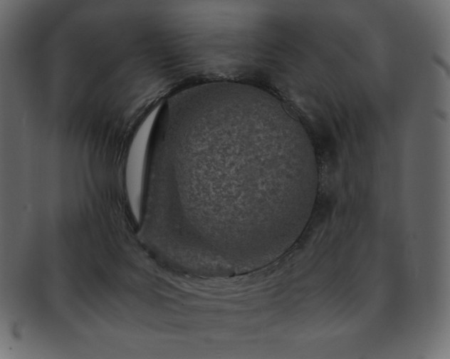 X0000093160027200709261518